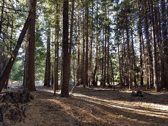 4th image of Lot # 9 Redwood Dr