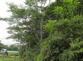 20th Ave LOT 19, Keaau, HI 96749