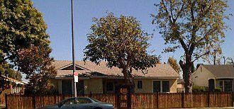 New custom black bamboo fence