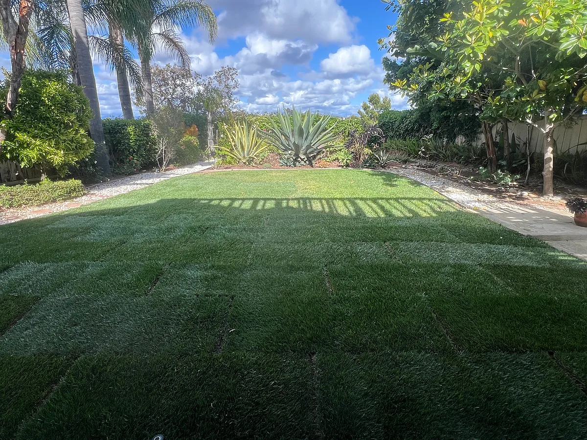 backyard - 1720 Countryside Dr