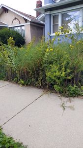 4722 W Parker Ave, Chicago, IL, 60639