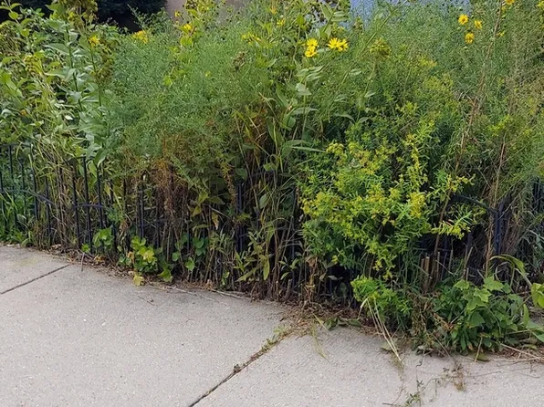 4722 W Parker Ave, Chicago, IL 60639