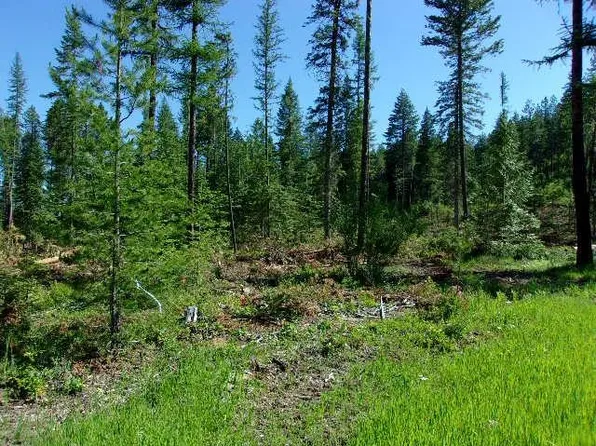 Waitts Lake Rd, Valley, WA 99181