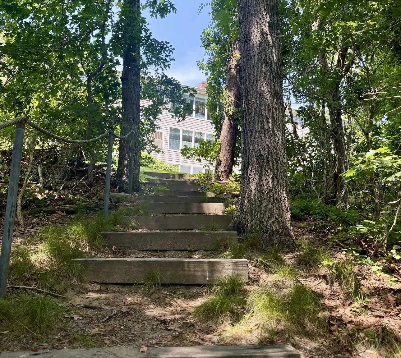 Lily Pond Apartments — Photo 1