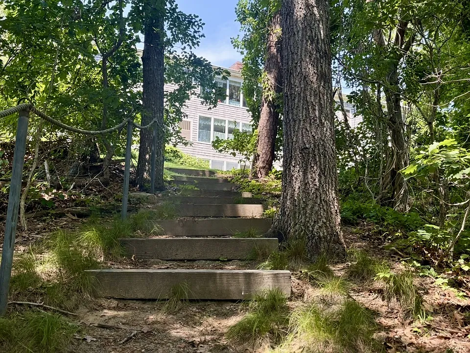 Lily Pond Apartments