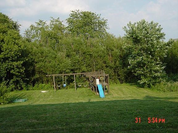 Wooded Backyard