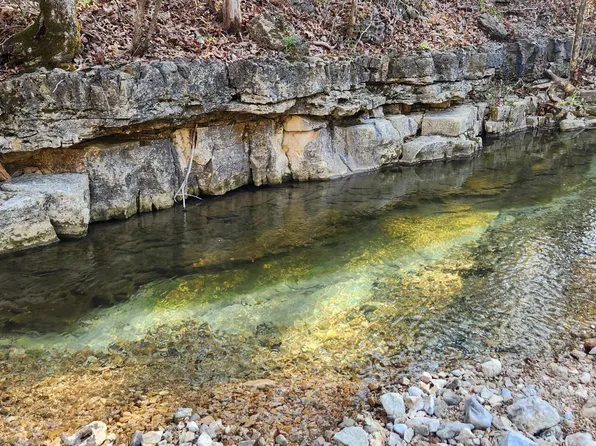 2237 Mease Drive, Reeds Spring, MO 65737