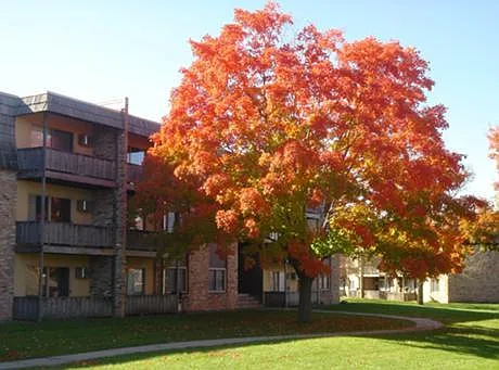 Valley Manor Apartments — Photo 2