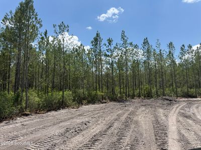 9 Corbitt Rd, Manor, GA, 31550