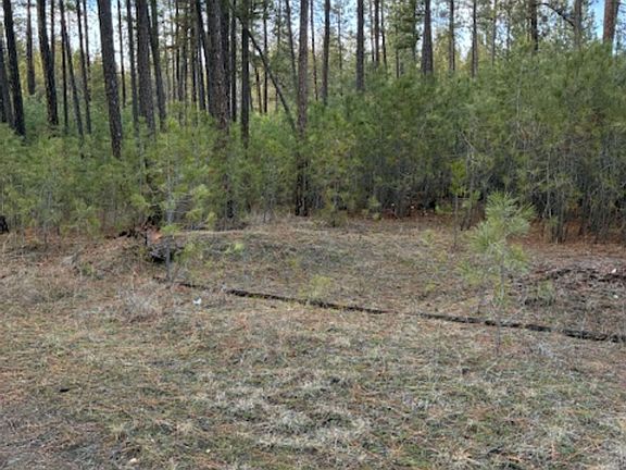 3rd image of 441X Highway 231 S Parcel 2463200