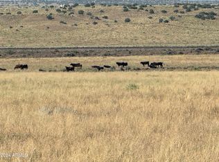 89 E Corrizo Rnch, Saint Johns, AZ 85936