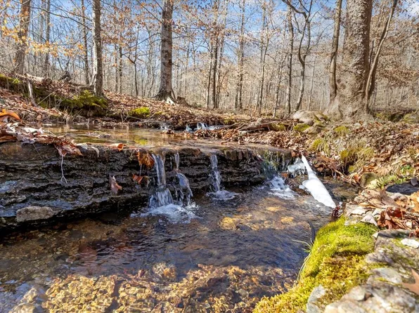 324 Golden View Ln, Hampshire, TN 38461