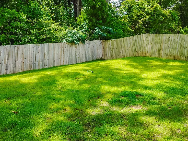 975 Lovebird Ct — Photo 5
