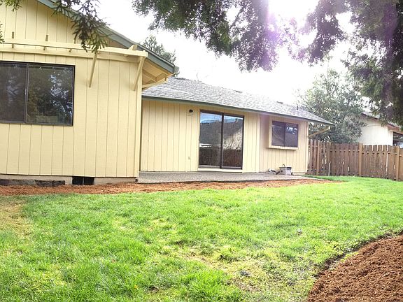 Back Yard #2