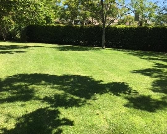 5th image of 5900 Matilija Ave