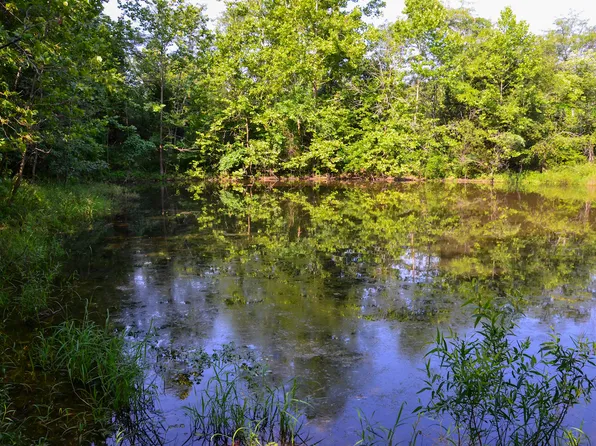 Coffman Rd Lot Wp002, Farmington, MO 63640