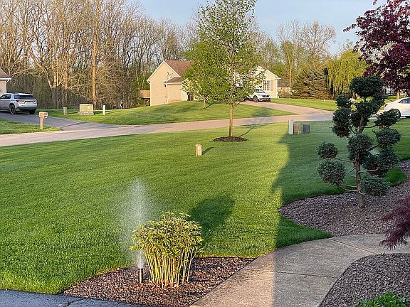 3rd image of 10329 Mulberry Dr