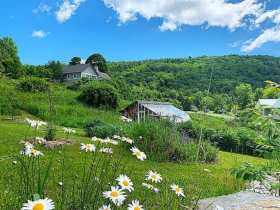 Looking NE to the Greenhouse
