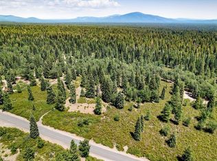 2-D-31 Snowline Cir, McCloud, CA 96057