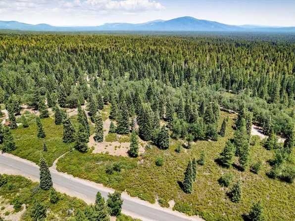 2-D-31 Snowline Cir, McCloud, CA 96057