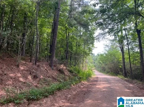 168 Haynes Rd W, Ashland, AL 36251