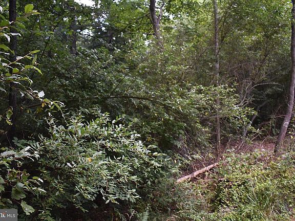 3rd image of McKees Gap Rd Lot 7
