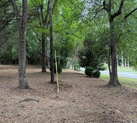 2nd image of 5806 Wilkins Drive