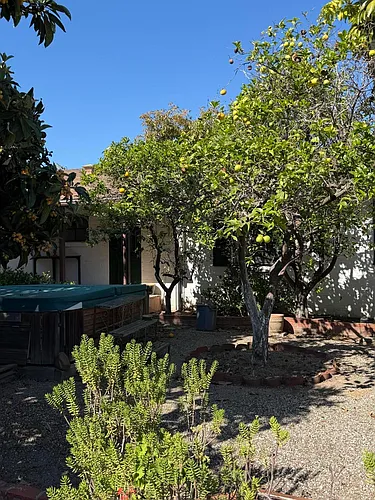 316 Oceano Ave #B Photo 1