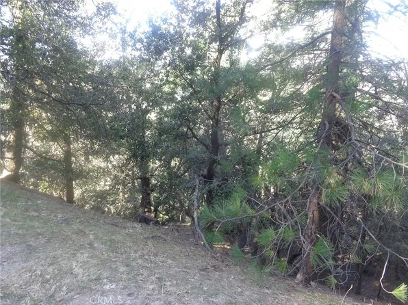 LOT 72 Chillon Dr #72, Crestline, CA 92325