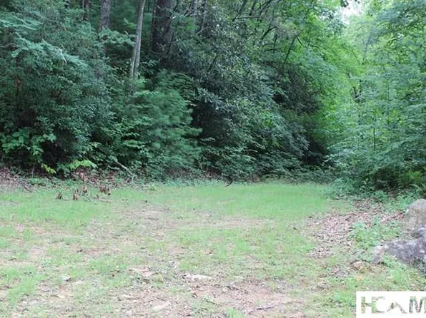31 Whitewater Ridge Road, Sapphire, NC 28774