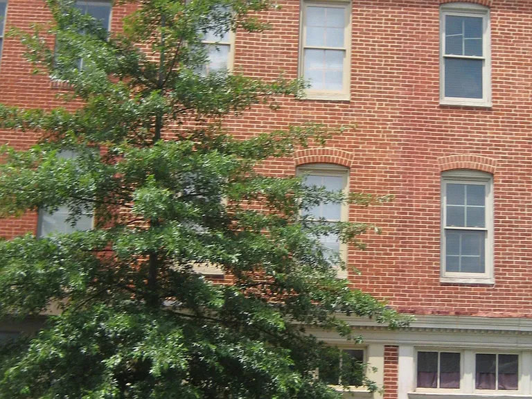 1028 Hollins St — Photo 17