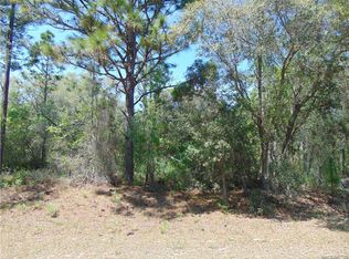 3145 W Misty Pl, Citrus Springs, FL 34433
