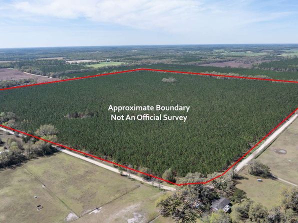 0 NE Delphinium Dr, Madison, FL 32340
