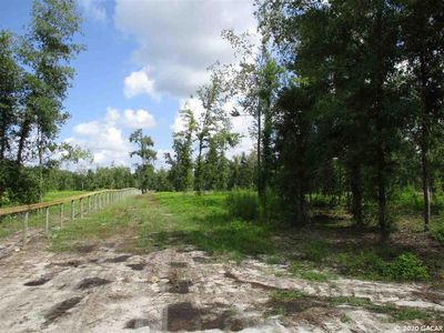 PARCEL 6 NW County Road 2054, Alachua, FL, 32615
