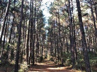 0 Horseshoe Rd, Smithdale, MS 39664