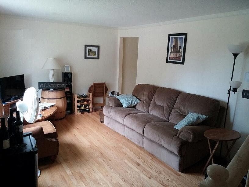 living room pic4