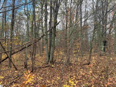 0 Wildwood Shores Dr, Kalkaska, MI, 49646