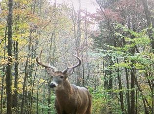 0 Morrell Rd, Pulaski, TN 38478