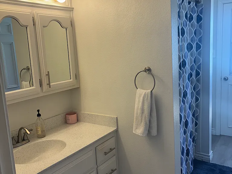 6913 Creekside Ln — Photo 19