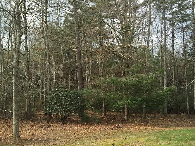 1st image of 140 Tanglewood Dr