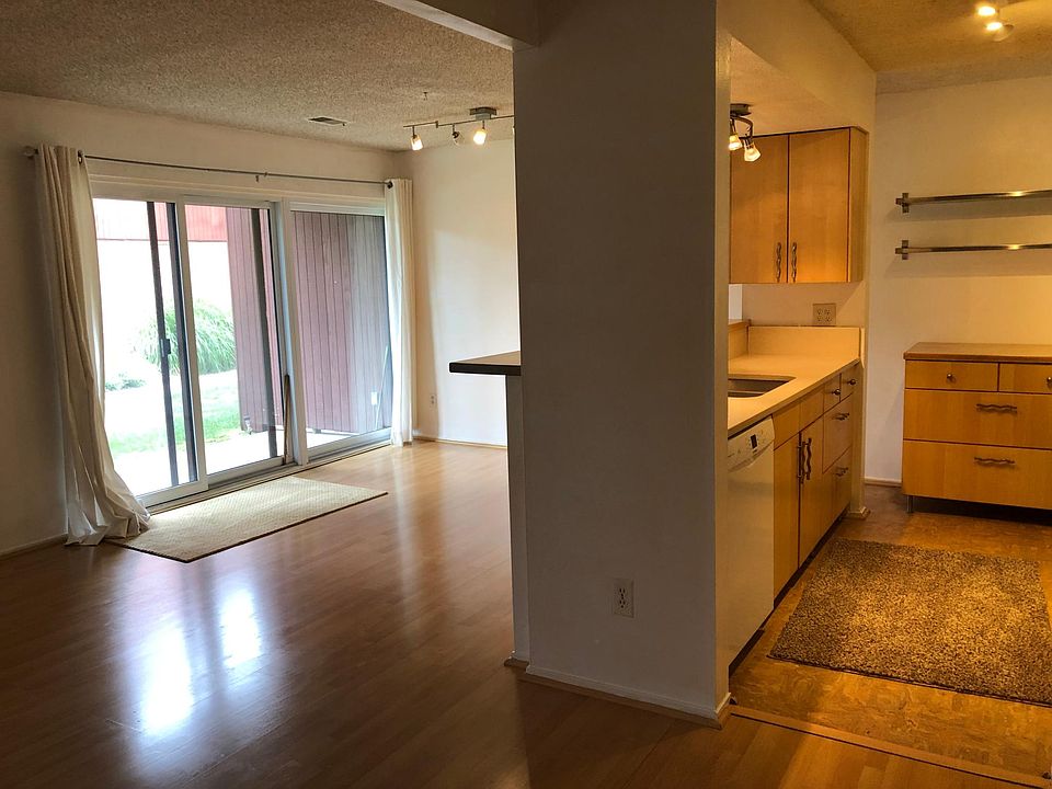 Living room and kitchen