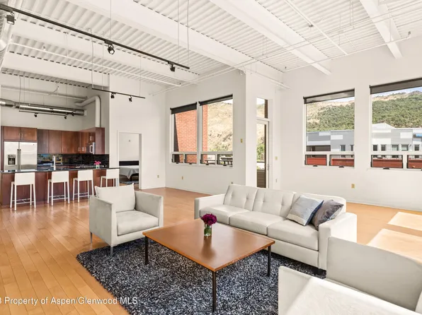 361 Robinson St Unit 326, Basalt, CO 81621