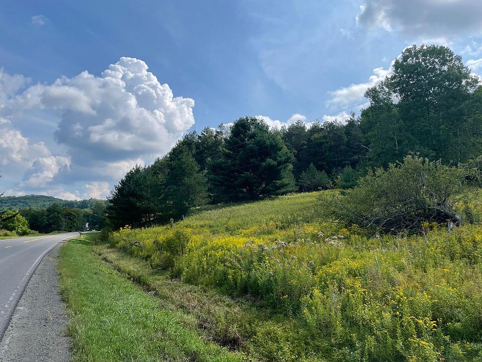 0 County Highway 14, Mount Vision, NY 13810 MLS 136287 Zillow