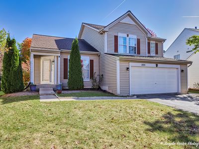 223 Switchgrass Dr, Round Lake, IL, 60073