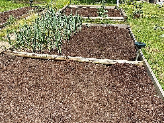 Raised Garden Beds