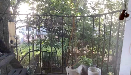 Rented by Terra Magia Inc