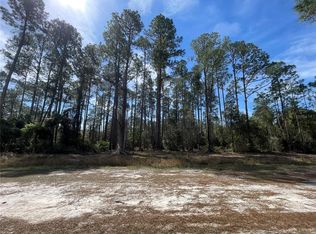 105 Rosewood St #15, Georgetown, FL 32139