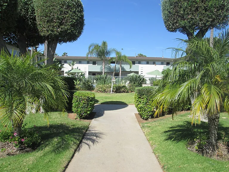The Palms — Photo 2