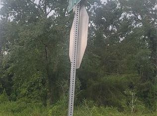 LOT 4 SW 141st Pl LOT 4, Ocala, FL 34473