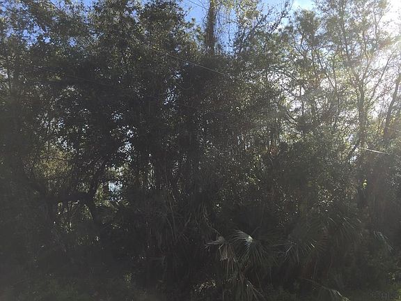 4th image of 37 Poplar Dr